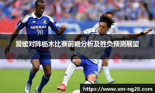 南宫NG28